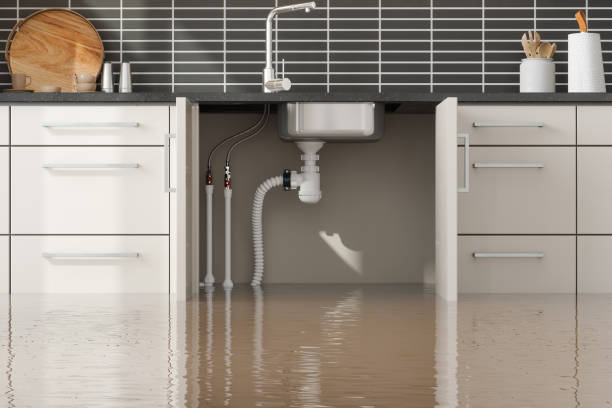 Best Residential water damage restoration  in Rlborough, MA