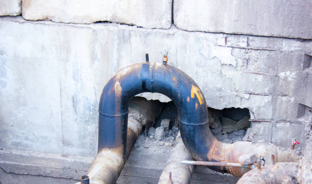 Best Carpet water damage restoration  in Rlborough, MA